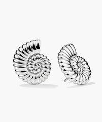 Ammonite Oversized Studs