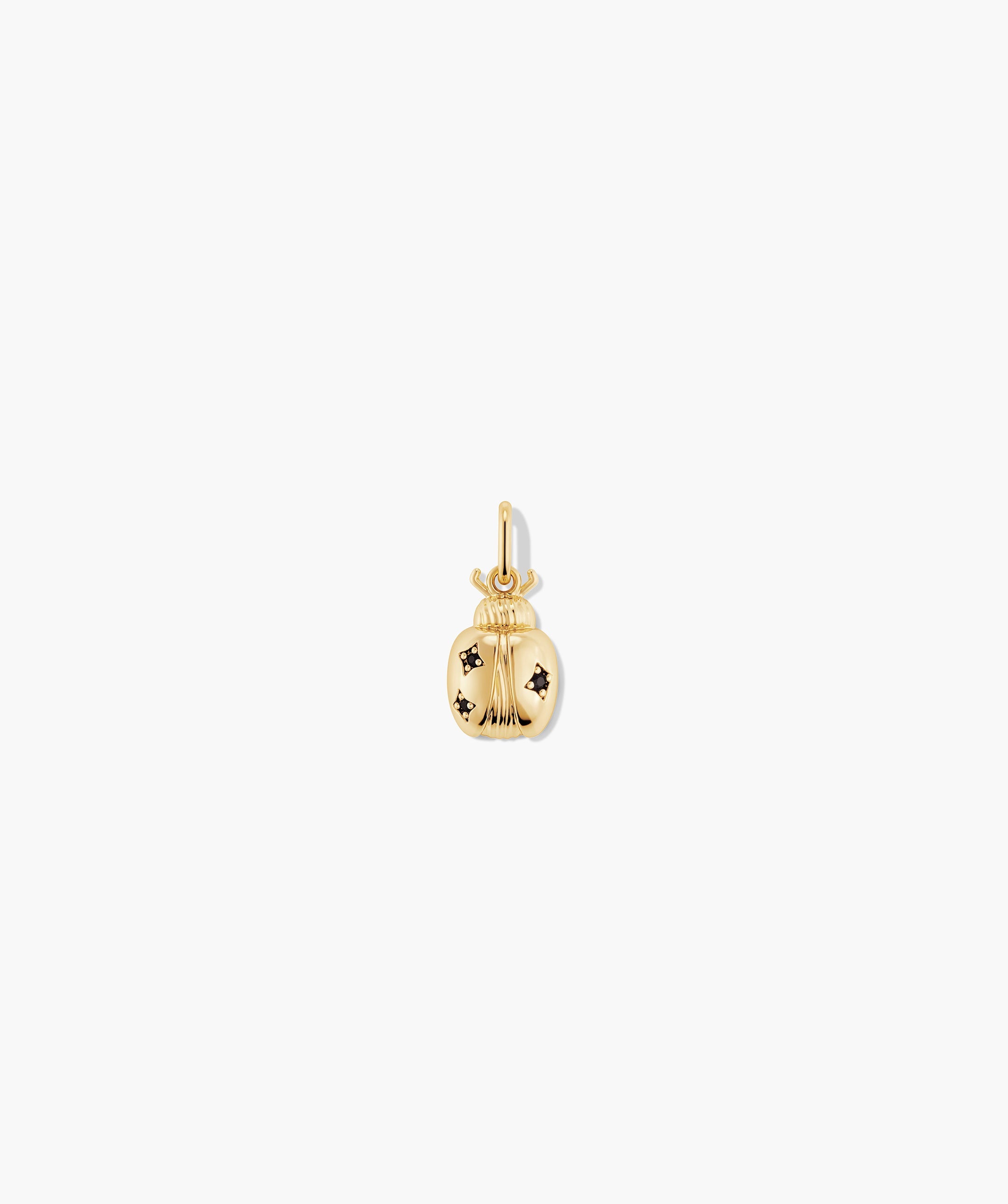 Lady Luck Charm
