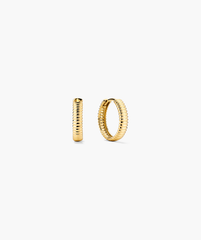 Charlotte Textured Hoops