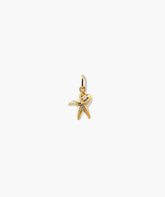 Star Crossed Charm