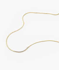 Serpentine Chain Necklace displayed on a white surface, showcasing its elegant, minimal design suitable for any occasion.