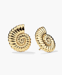 Ammonite Oversized Studs