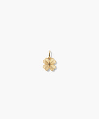 Feeling Lucky Charm