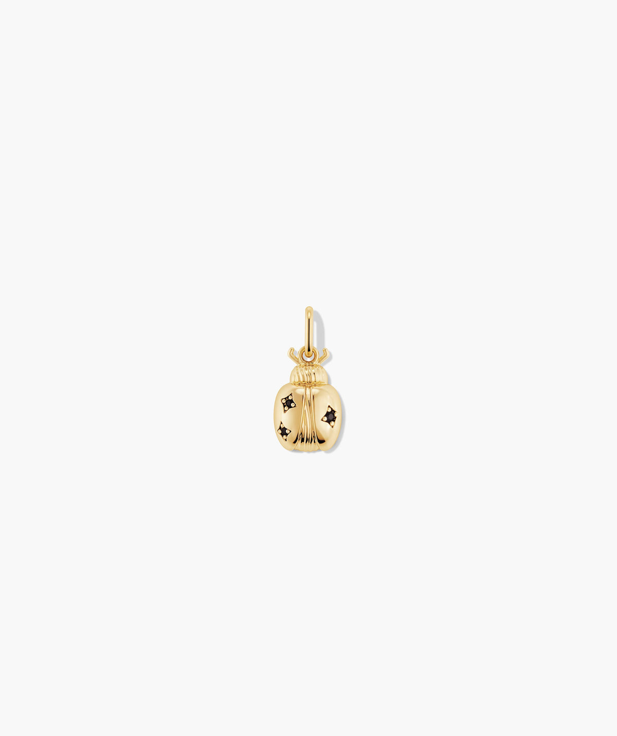Lady Luck Charm