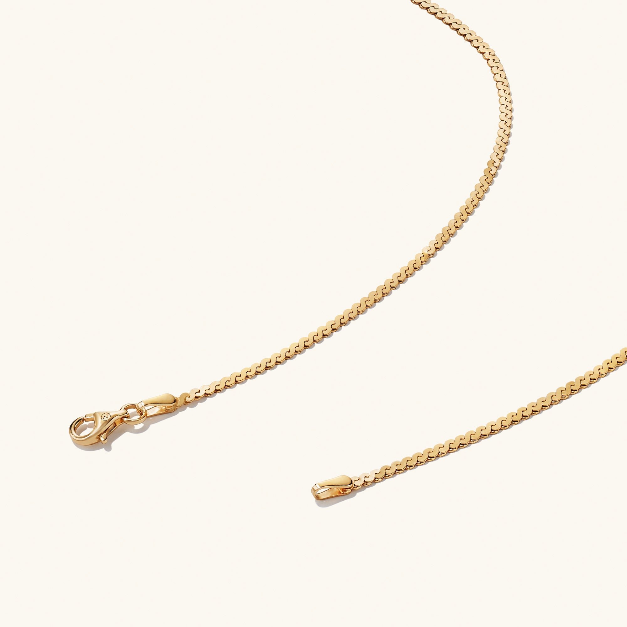 Serpentine Chain Necklace: A minimalist gold chain with a clasp, perfect for versatile wear on any occasion.