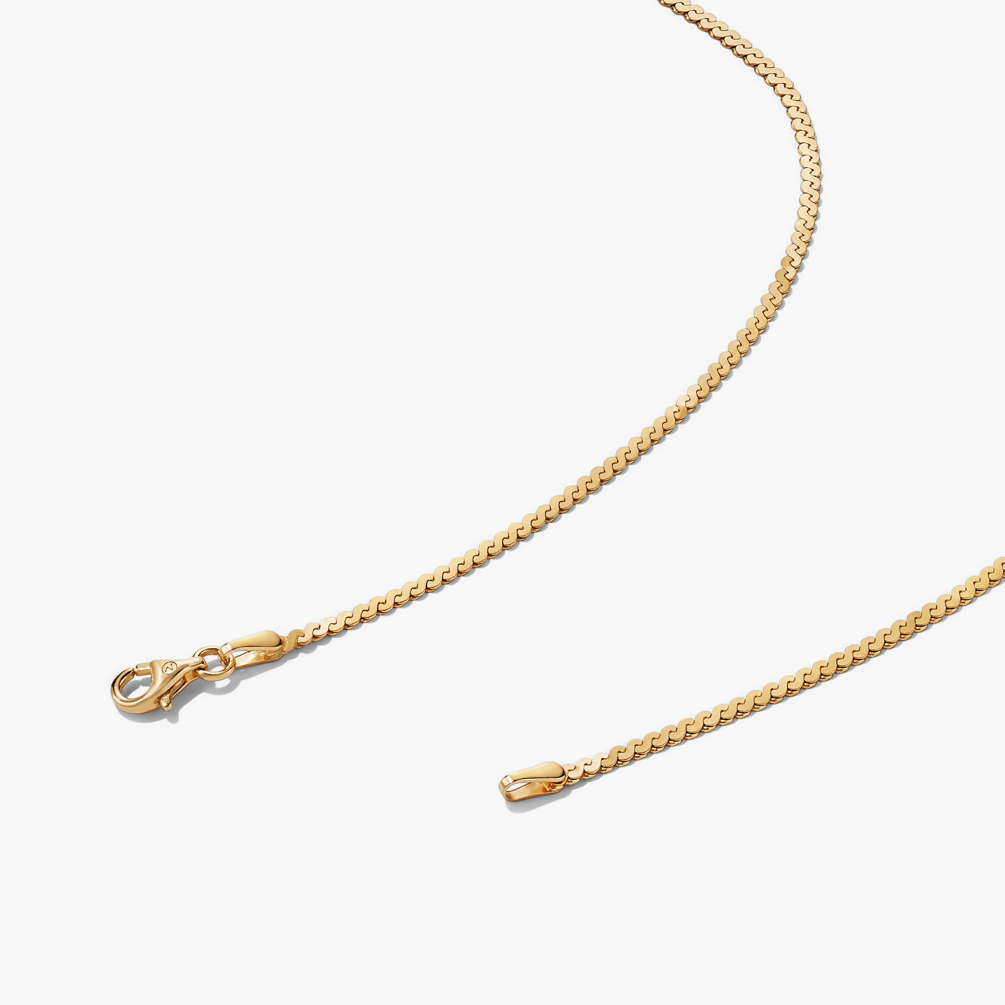 Serpentine Chain Necklace: A minimalist gold chain with a clasp, perfect for versatile wear on any occasion.